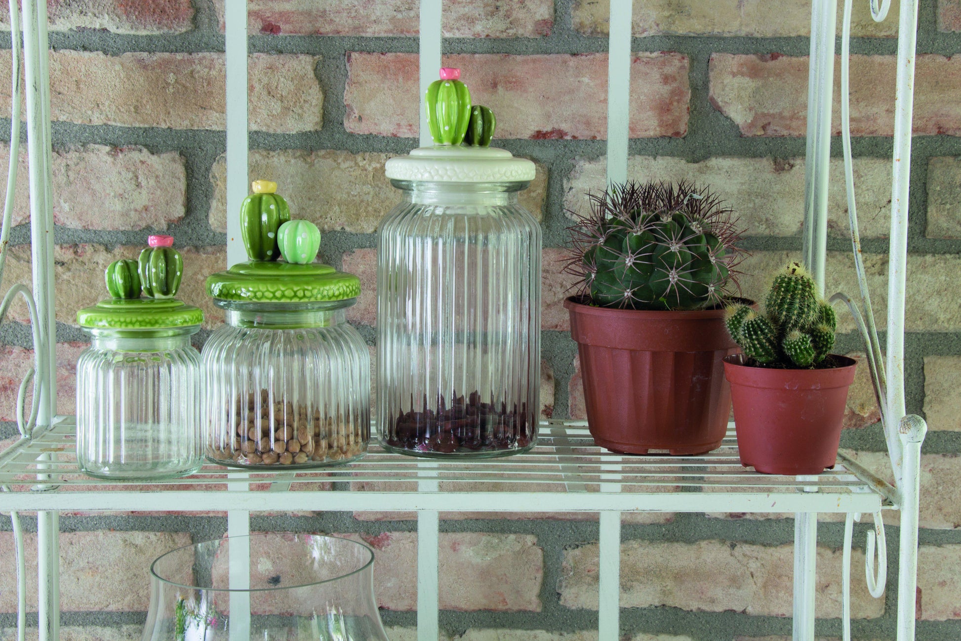 Vorratsdose Kaktus, 11 x 26 cm, transparent - Porzellan aus Italien 